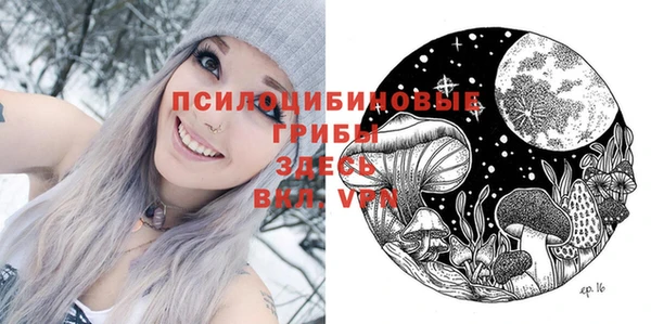не бодяженный Верхний Тагил